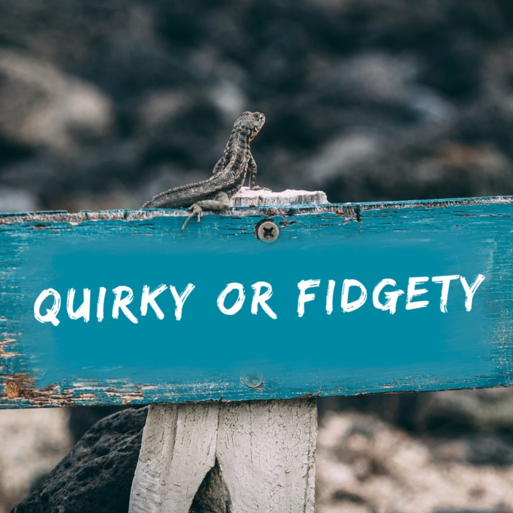 Quirky Or Fidgety